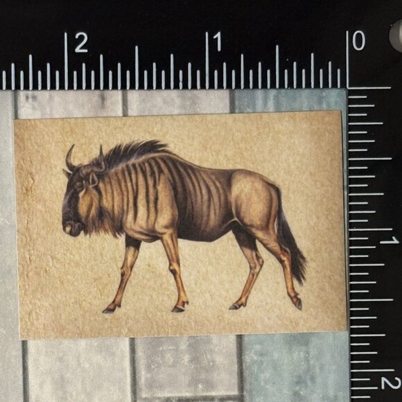 ๐10/$10๐ Classic Hoofed Beasts Reusable Washi Sticker Decal - Picture 1 of 1